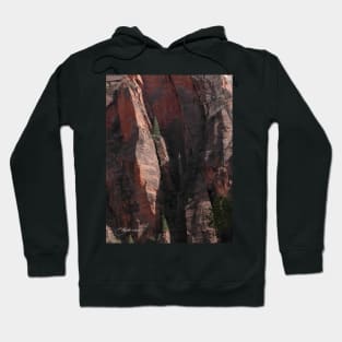Rock Haven for Trees Hoodie